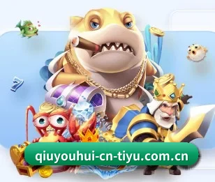 qy球友会五大内容板块,覆盖赛事直播与实时比分(QYSports)